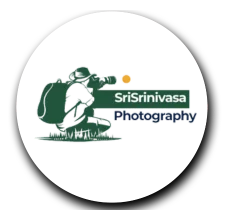 kk | Web Development Company In Hyderabad | MK DIGITALMARE